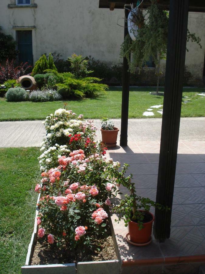 Repanidi Apartment D / Ρεπανίδι Διαμέρισμα Δ Repanidhion Exterior photo